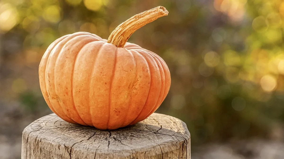 Légumes de saison en hiver : le calendrier et les recettes