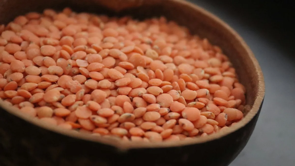 Recette lentilles corail : dix minutes de cuisson